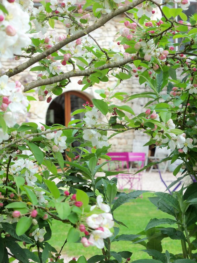 Chambres Et Jardin De Pierres Espédaillac Kültér fotó